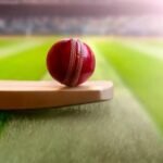 Cricket Model