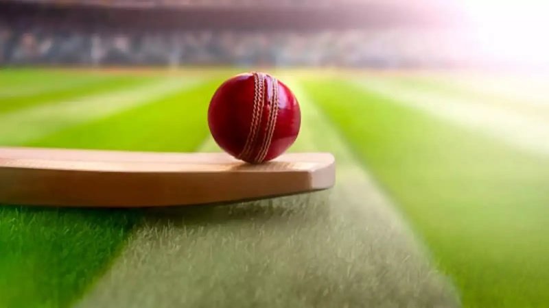 Cricket Model