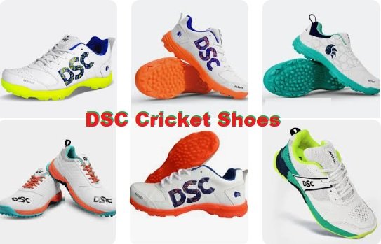 DSC Cricket Shoes