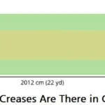 How Many Creases Are There in Cricket?