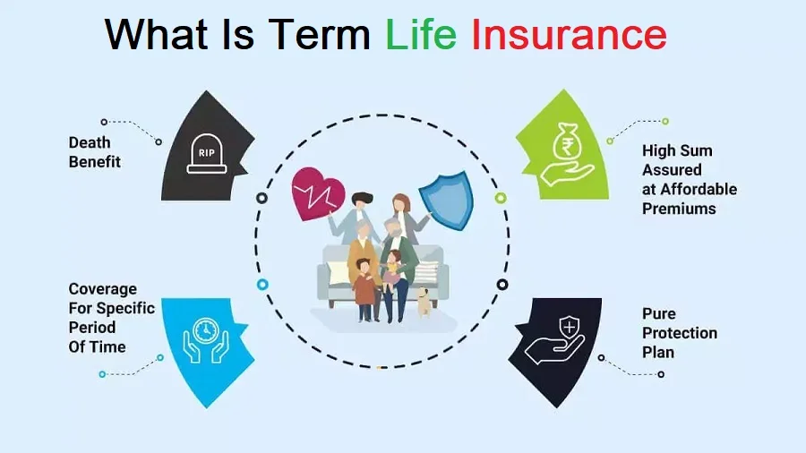 What Is Term Life Insurance