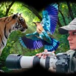 Compare Corbett and Ranthambore For A 5 Day Wildlife Photography Trip in November on a 50k Budget