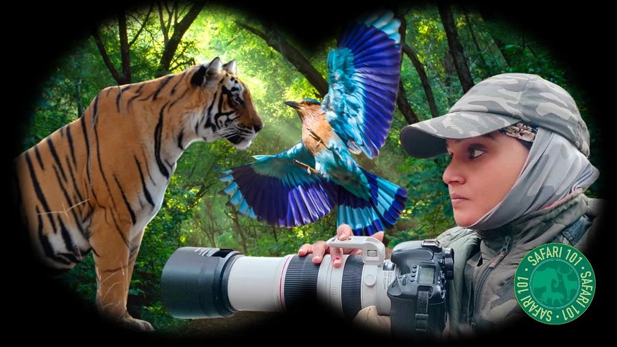 Compare Corbett and Ranthambore For A 5 Day Wildlife Photography Trip in November on a 50k Budget